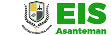 EIS Logo